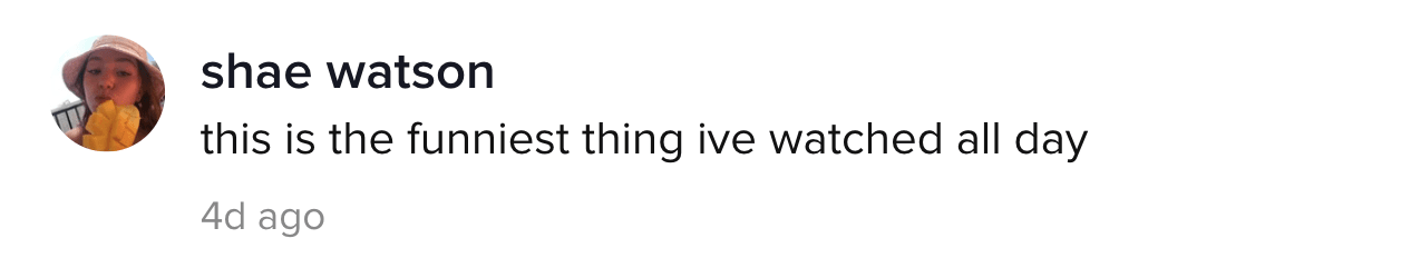 A TikTok comment.