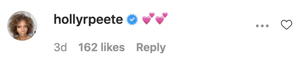 An Instagram comment. 