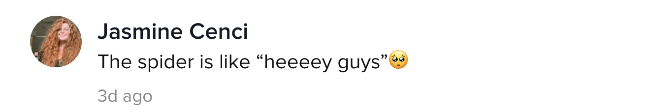 A TikTok comment.