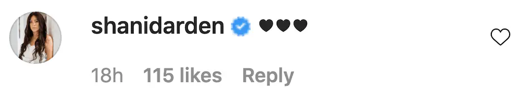 An Instagram comment. 
