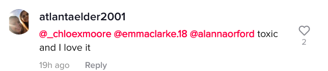 A TikTok comment.