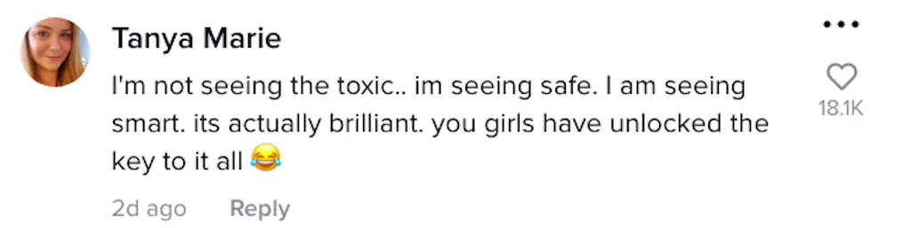A TikTok comment. 