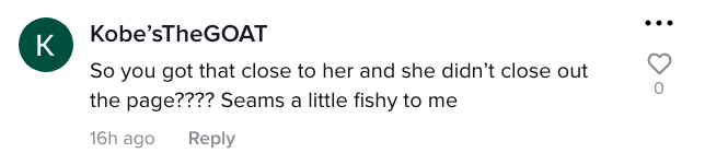 A TikTok comment.