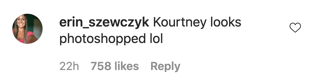 An Instagram comment. 