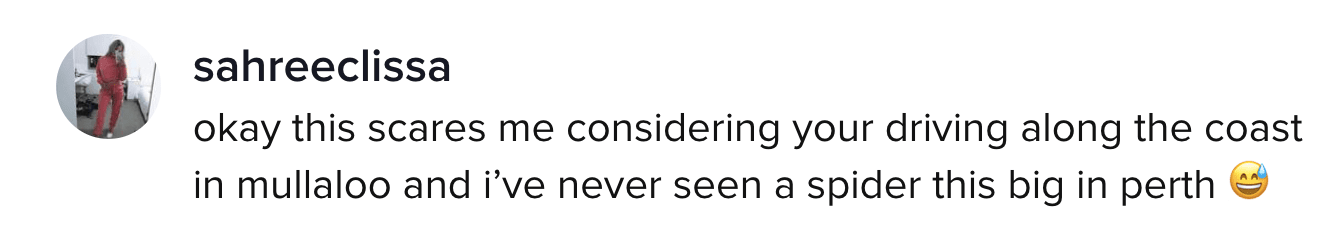 A TikTok comment.