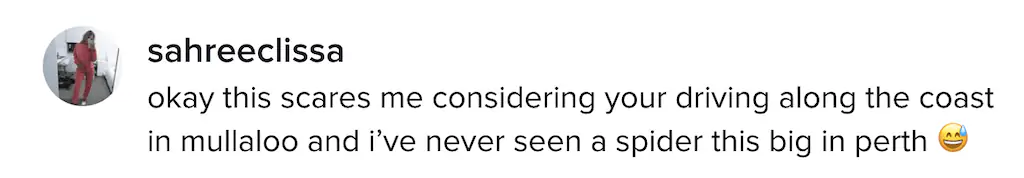 A TikTok comment.