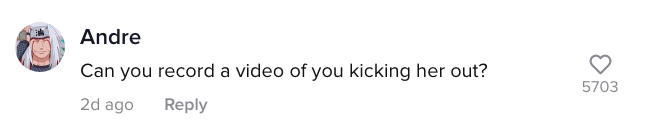 A TikTok comment.