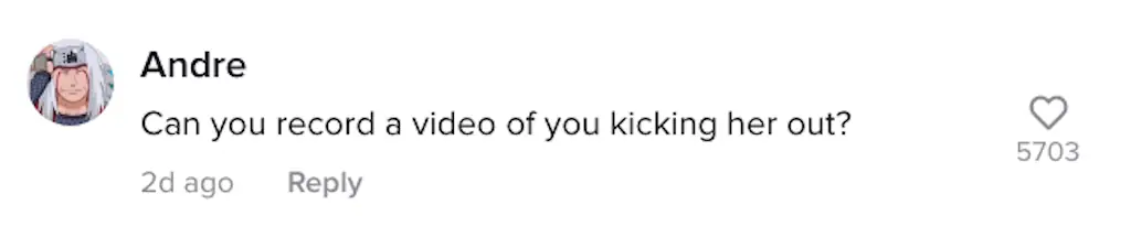 A TikTok comment.