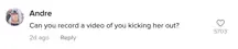 A TikTok comment.