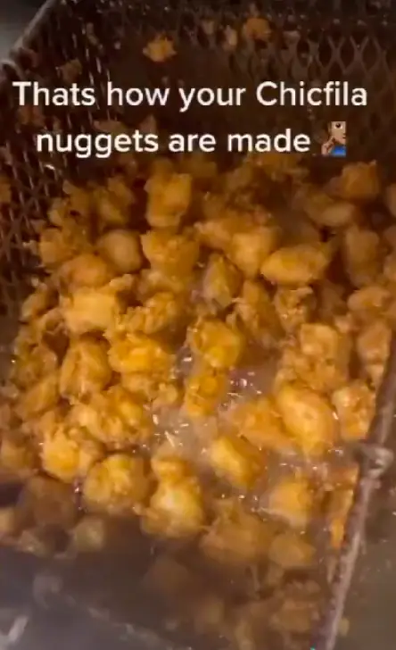 A TikTok screenshot.