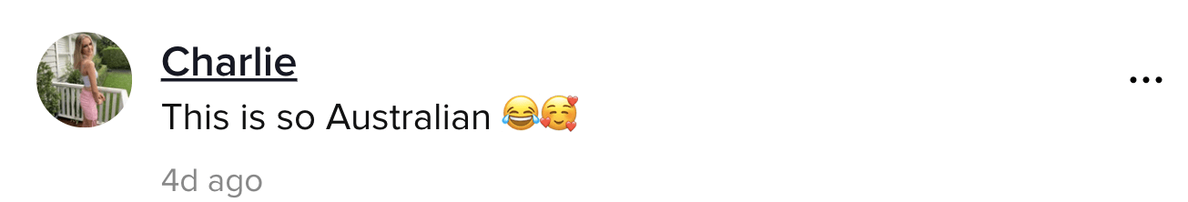 A TikTok comment.