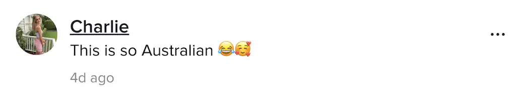 A TikTok comment.