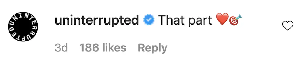 An Instagram comment. 