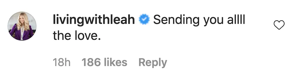 An Instagram comment. 