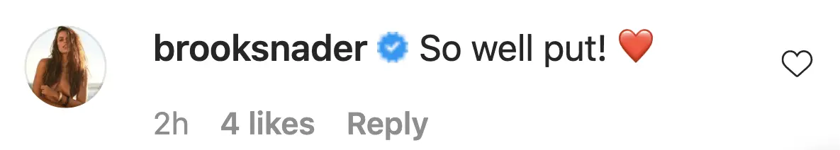 An Instagram comment.