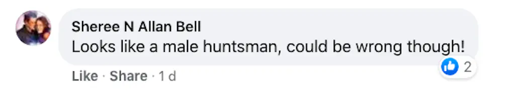 A Facebook comment.