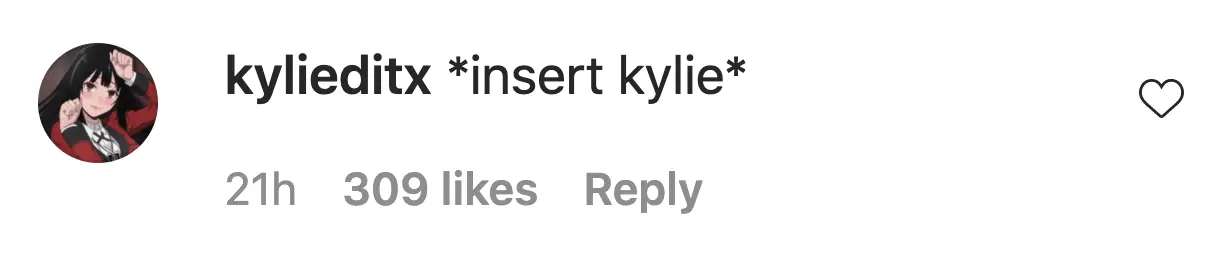 An Instagram comment. 