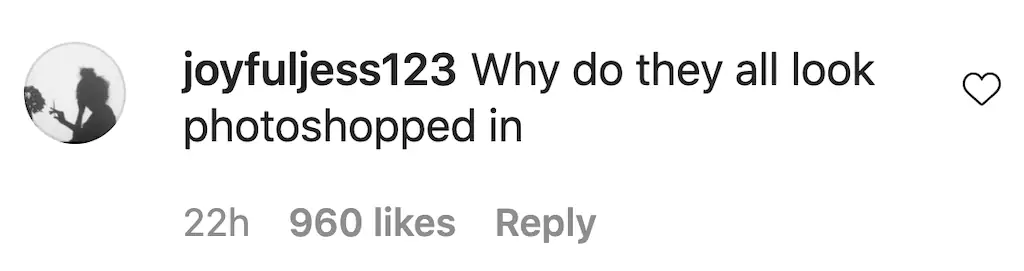 An Instagram comment. 