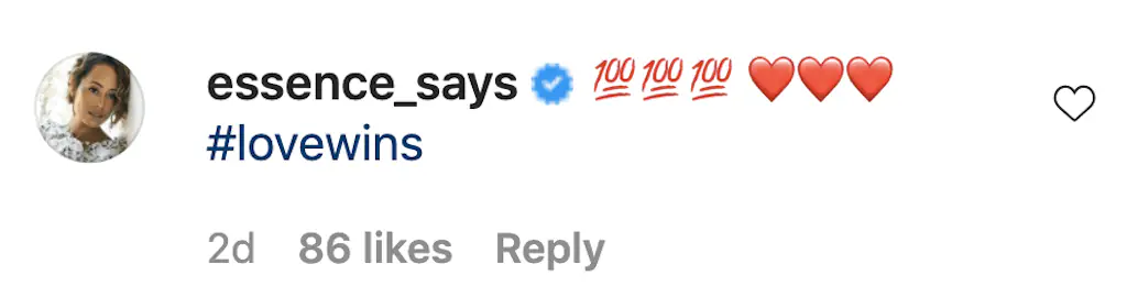 An Instagram comment. 