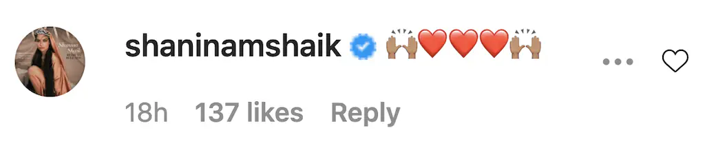 An Instagram comment. 