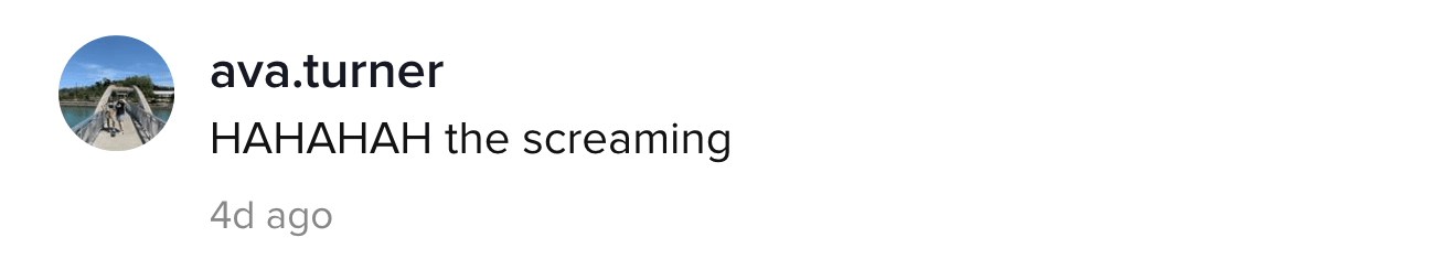 A TikTok comment.