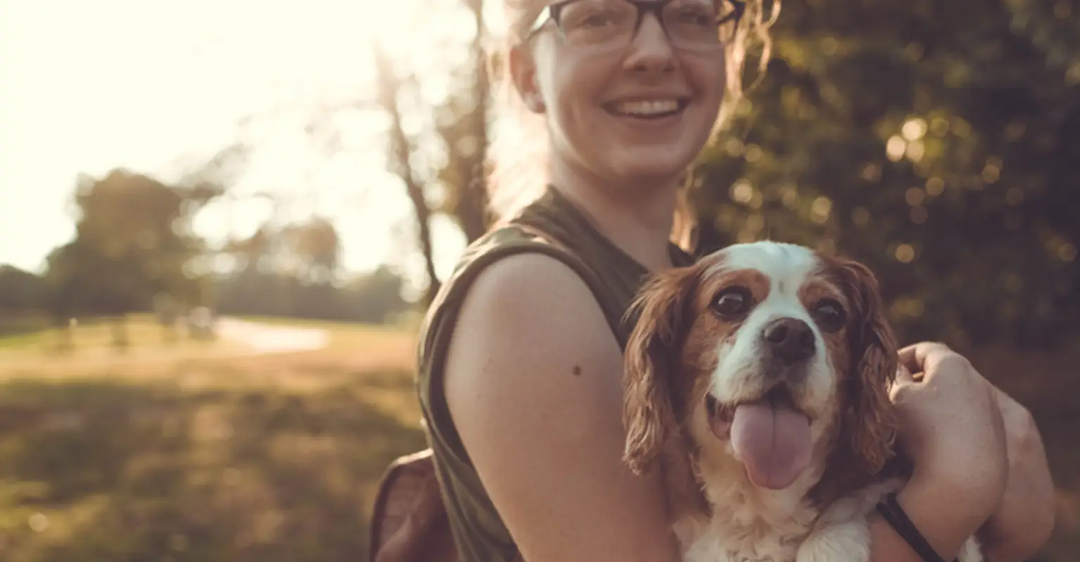 Be The Owner Your Dog Deserves Thanks To This Bundle