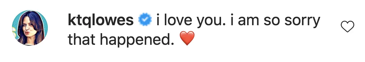 An Instagram comment.