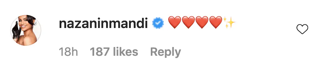 An Instagram comment. 