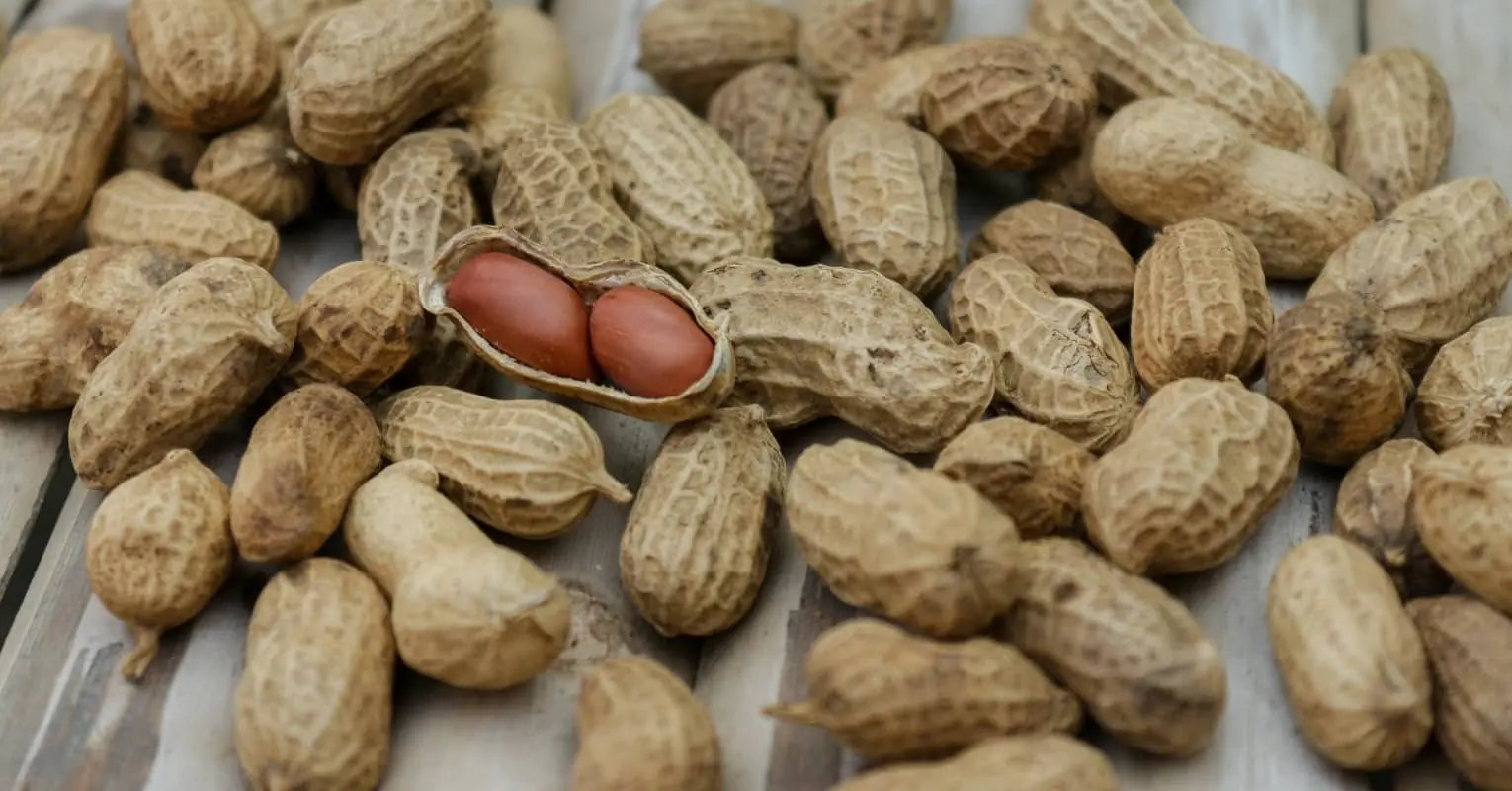 An image of peanuts. 