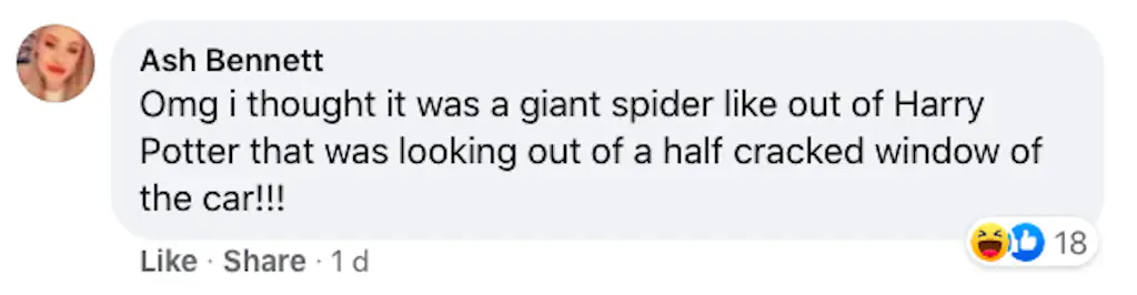 A Faceboook comment.
