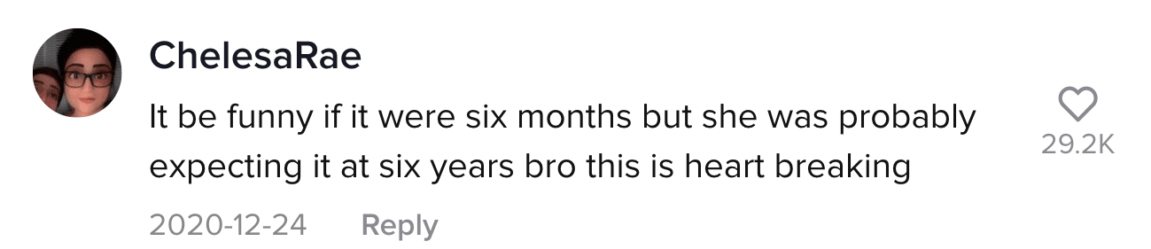 A TikTok comment.