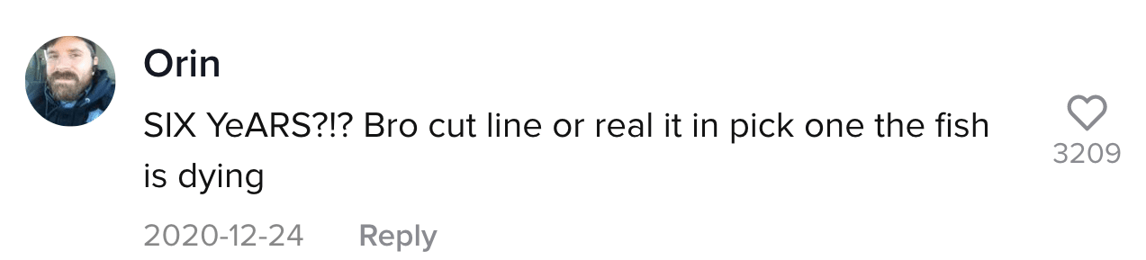 A TikTok comment.