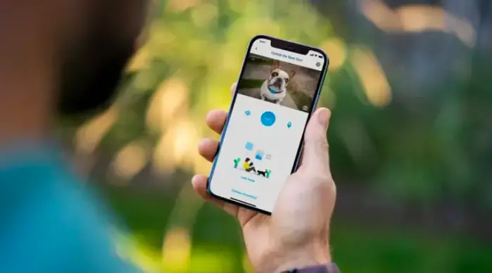 wp-image-12633239 size-full