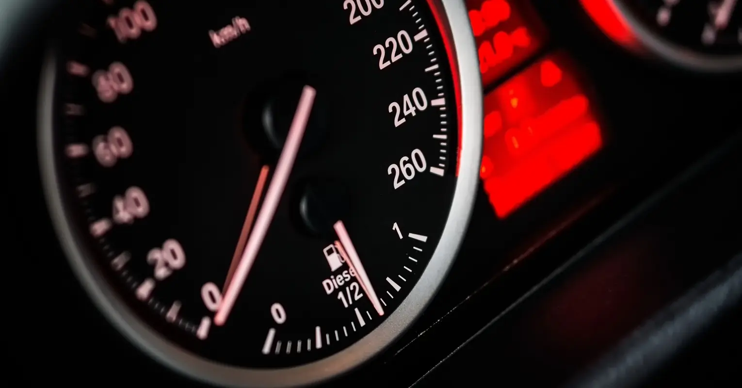 Woman clings to hood of speeding car in attempt to stop theft of $10,000 puppy