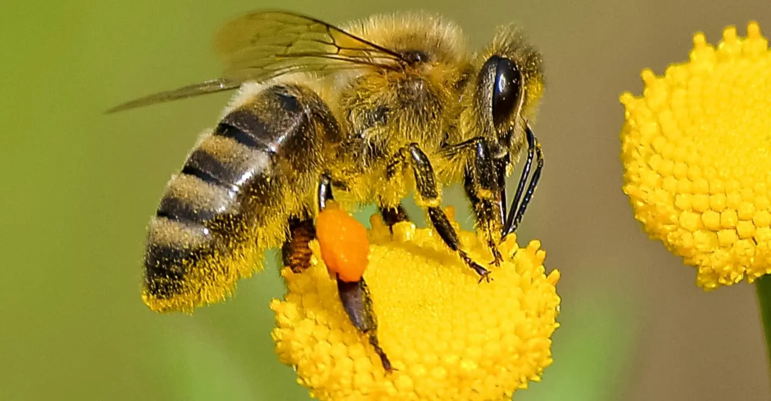 size-full wp-image-12635589