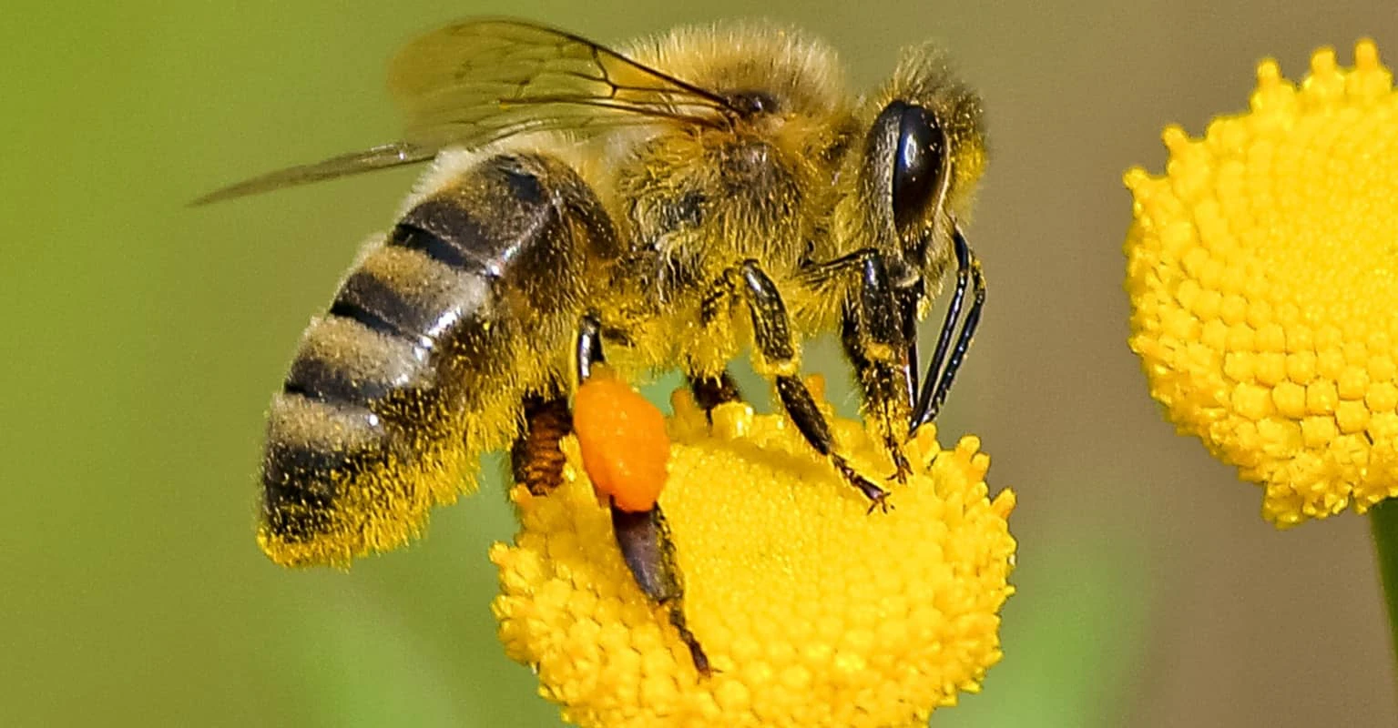 size-full wp-image-12635589