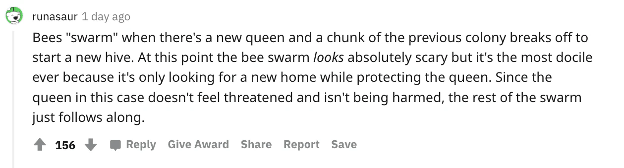 wp-image-12635610 size-full