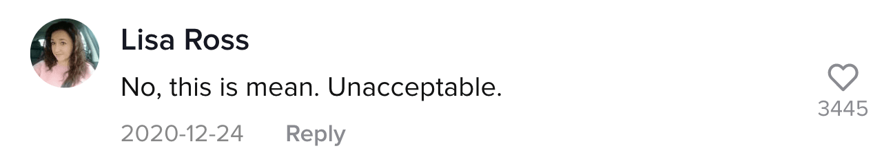 A TikTok comment.