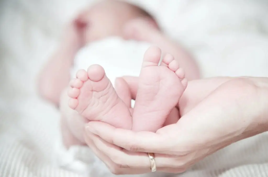 size-large wp-image-12633521