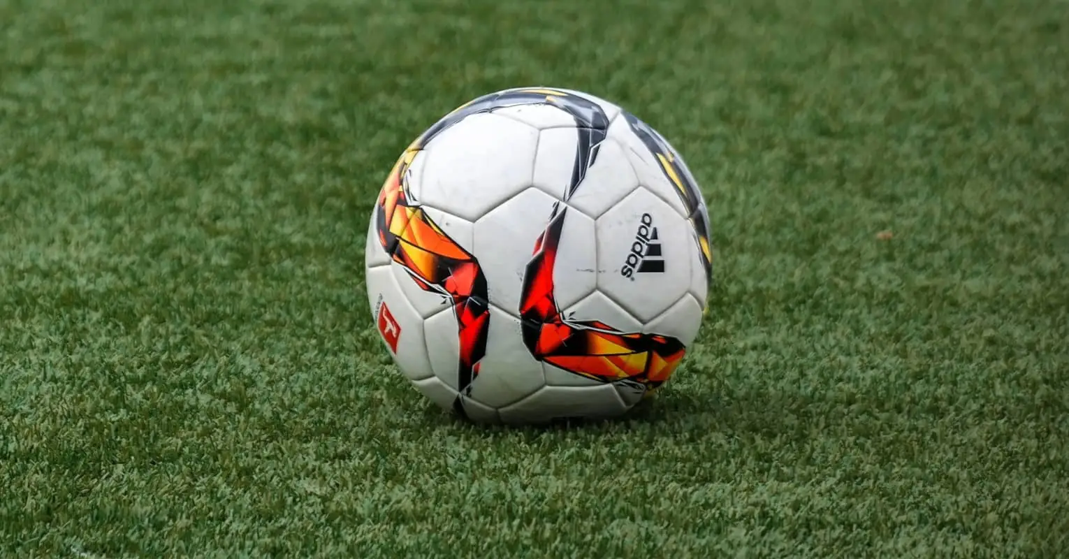 Soccer player adopts stray dog that invaded the pitch during Christmas Eve game