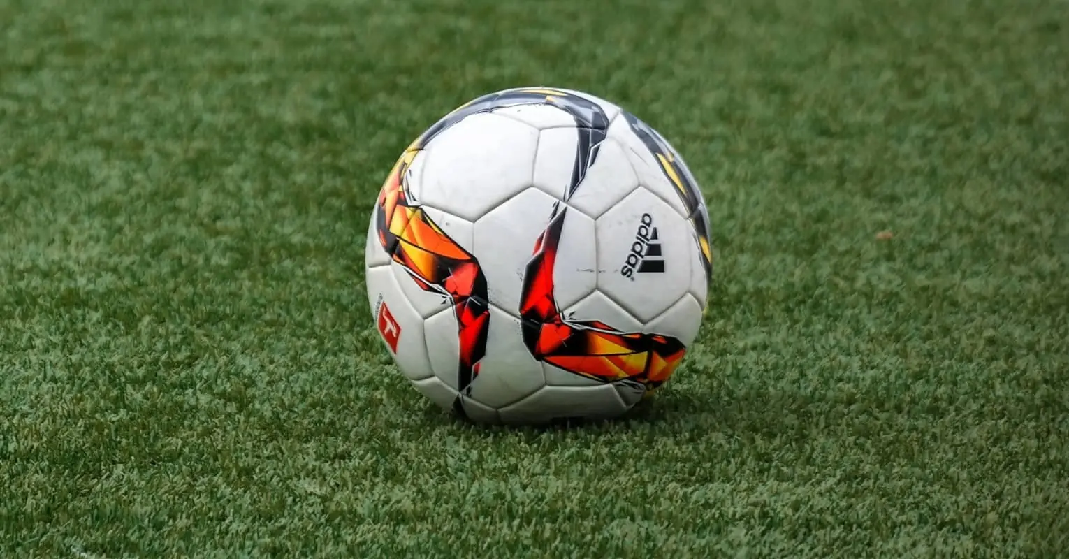 Soccer player adopts stray dog that invaded the pitch during Christmas Eve game