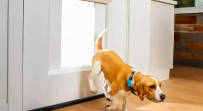 wp-image-12633238 size-full