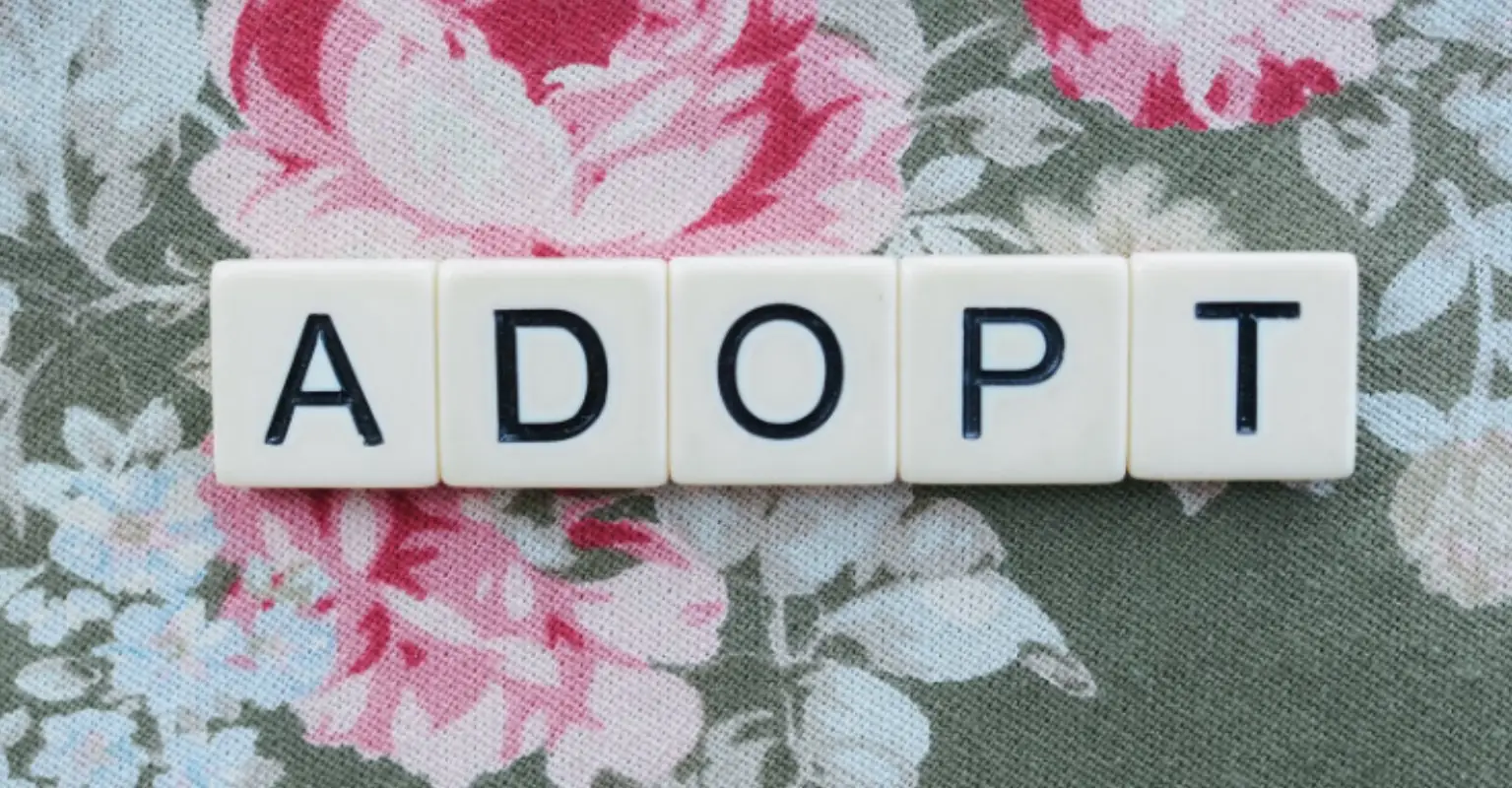 Man wins custody of his own daughter after she was adopted without his permission