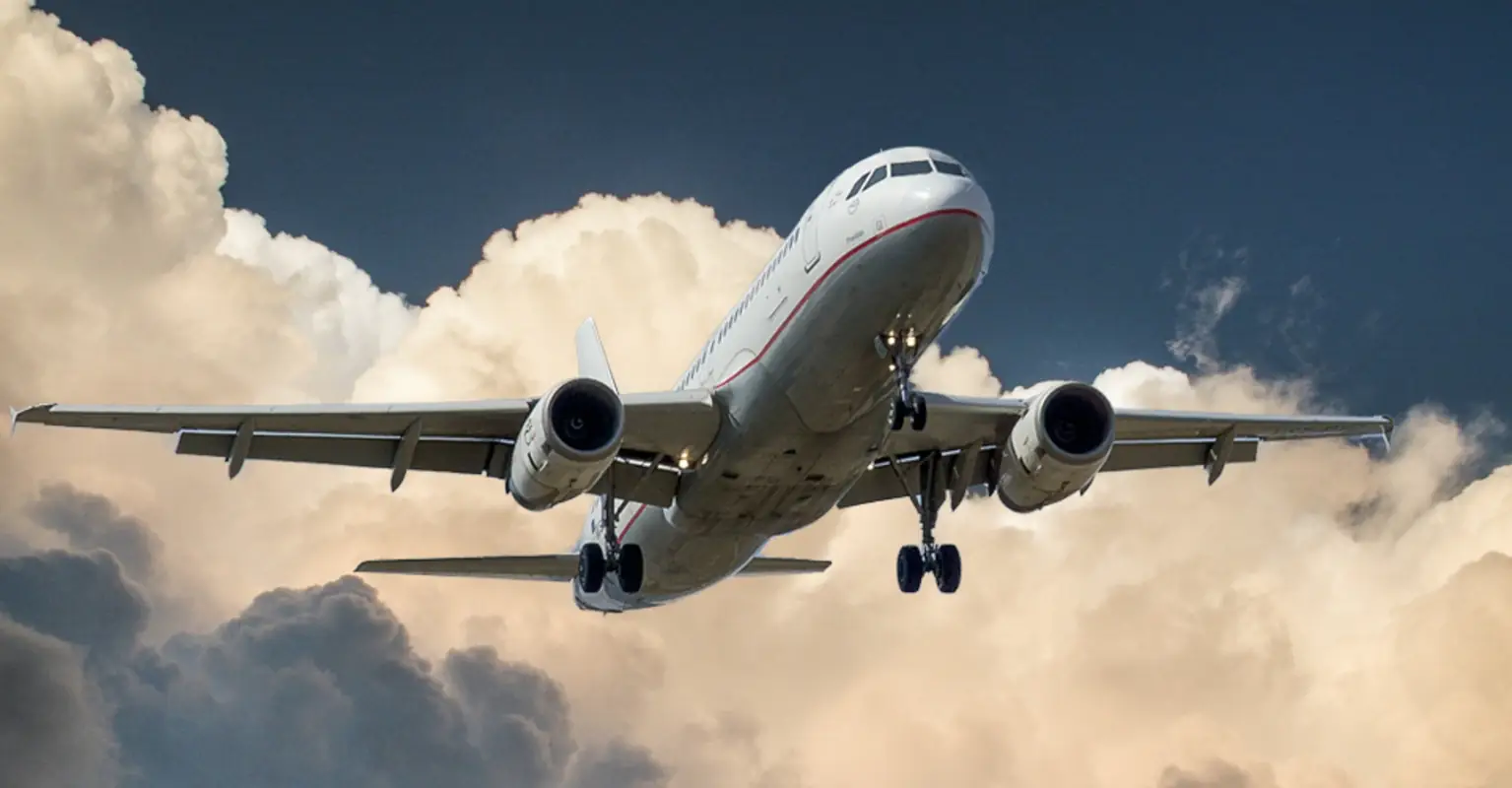 Woman horrified after being forced to pay 'African American service charge' to American Airlines