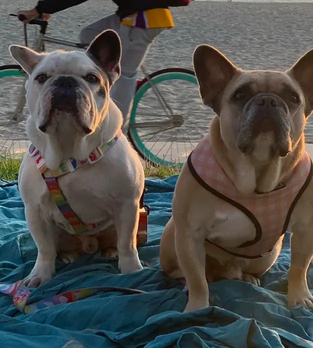 wp-image-1263096376 size-full