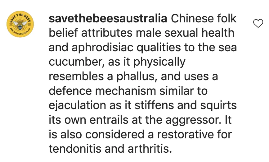 wp-image-1263096220 size-full