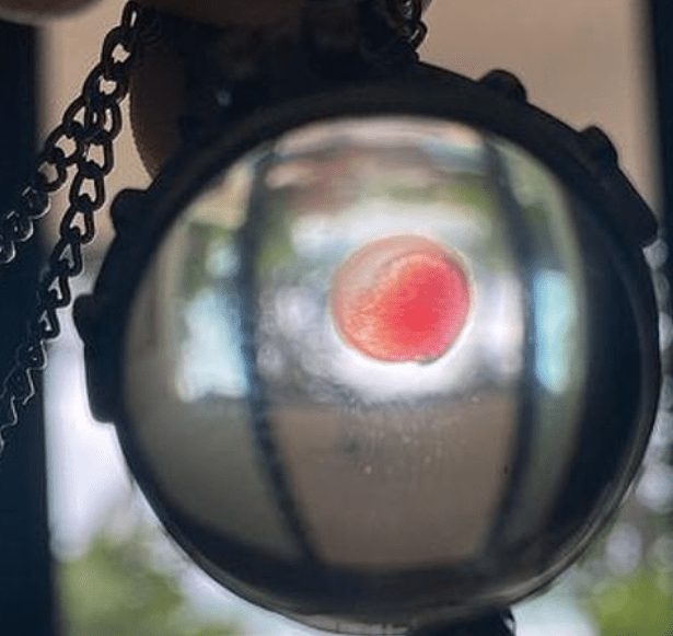 wp-image-1263094663 size-full