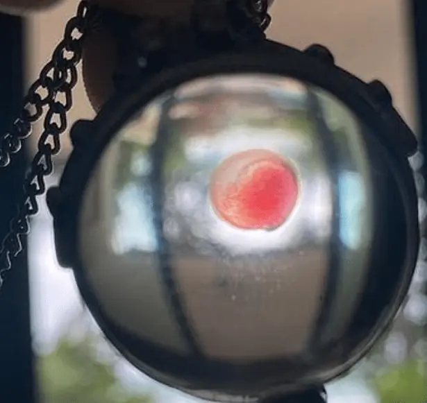 wp-image-1263094663 size-full