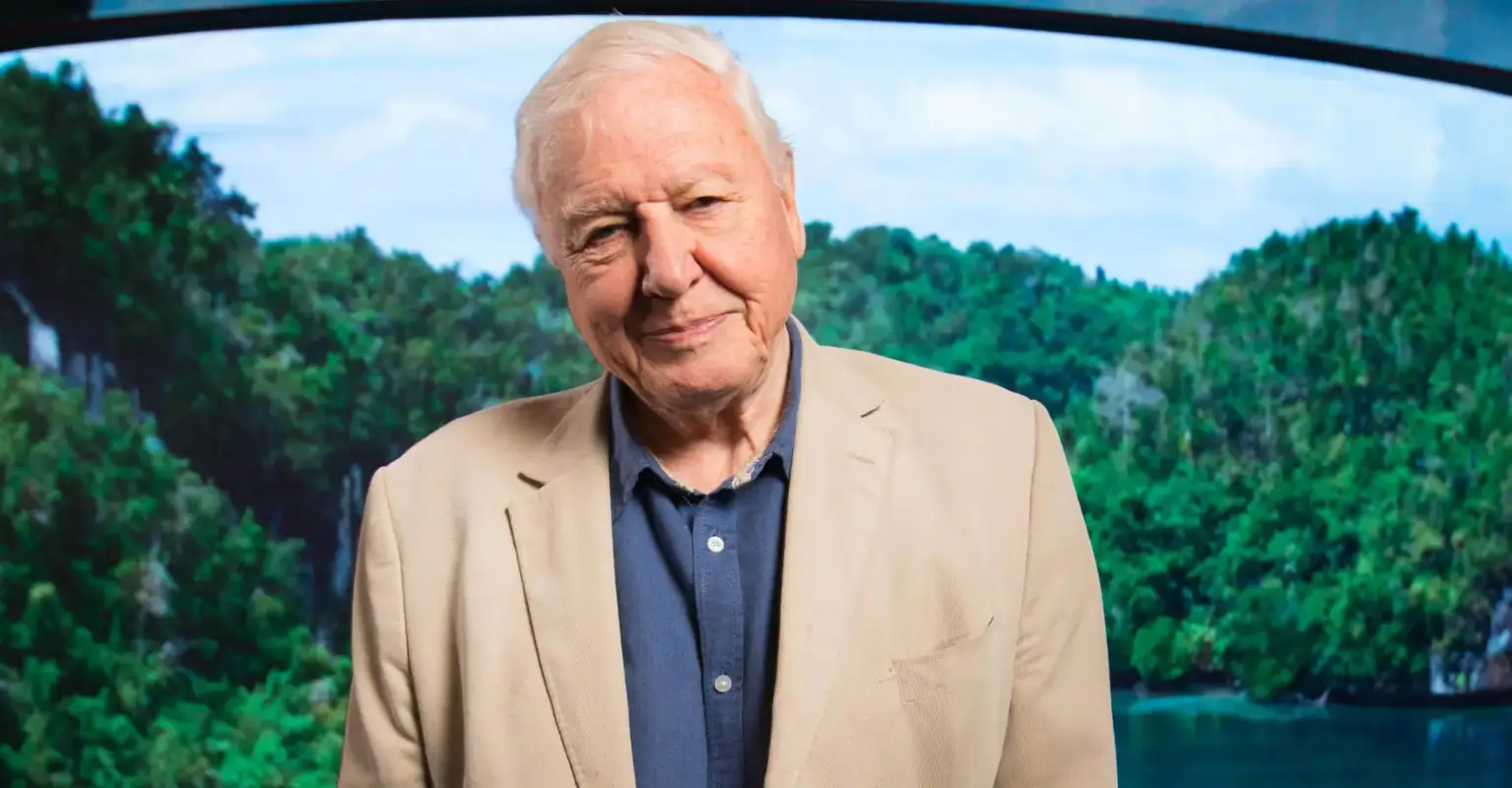 David Attenborough earned an eye-watering amount per minute from recent TV shows
