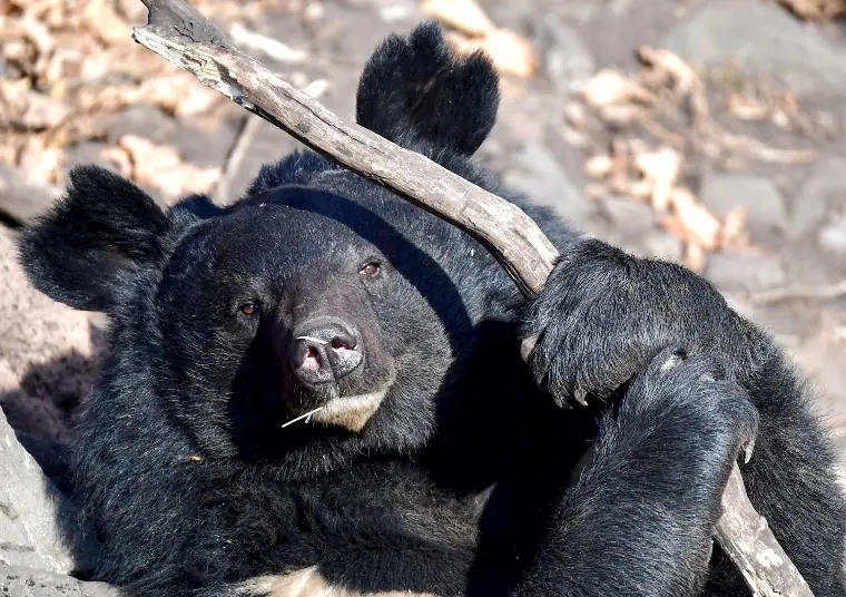 wp-image-1263096975 size-full